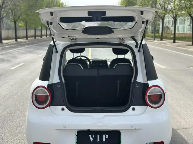 Changan Qiyuan Changan Lumin 301KM honey sweet
