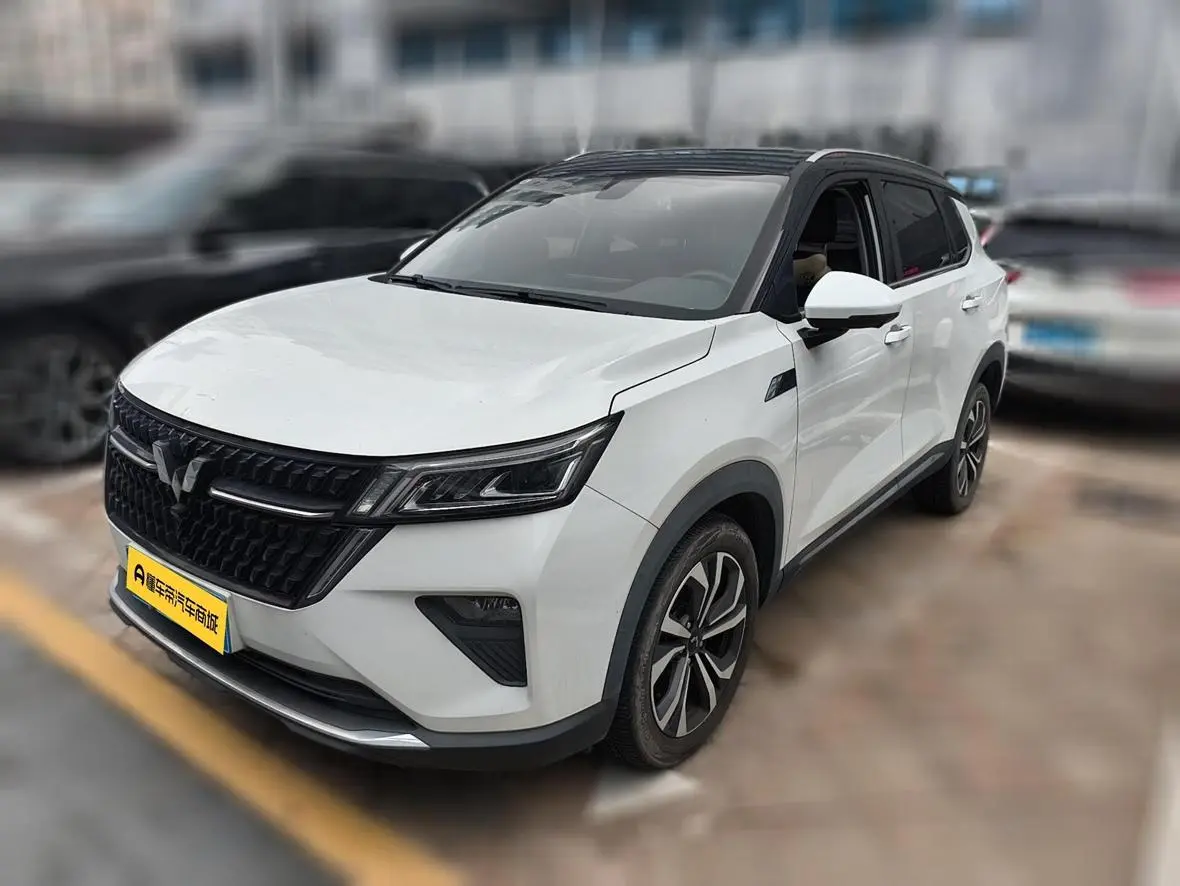 Wuling Wuling Xingchen 2.0L DHT electric speed model