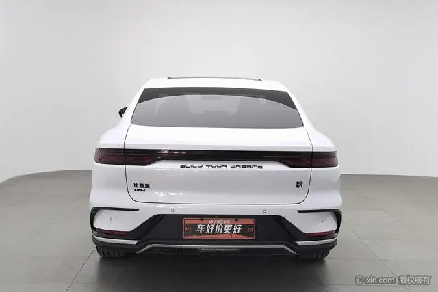 BYD Han DM DM-i 121KM exclusive type