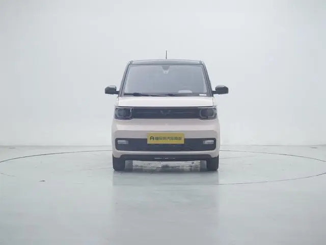 Wuling Wuling Hongguang MINIEV Macaron Premium Lithium Iron Phosphate