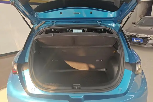 BYD dolphin Fashion edition