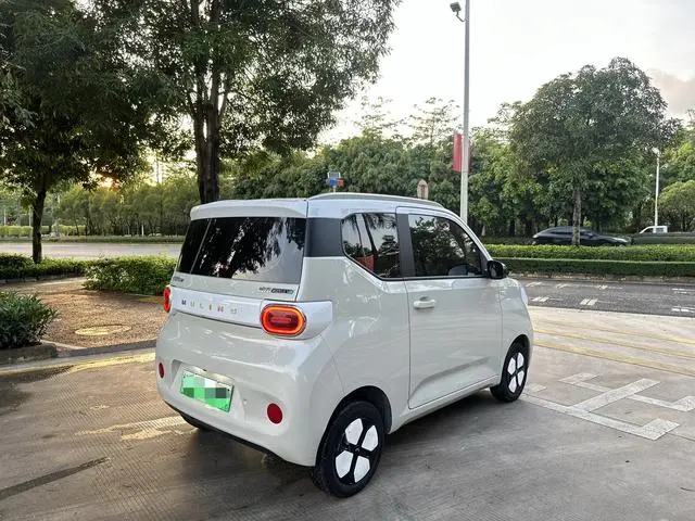 Wuling Wuling Hongguang MINIEV 215km Advanced Version Lithium Iron Phosphate