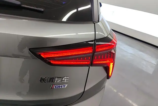 Haval Haval Xiaolong 1.5L 110km pilot version