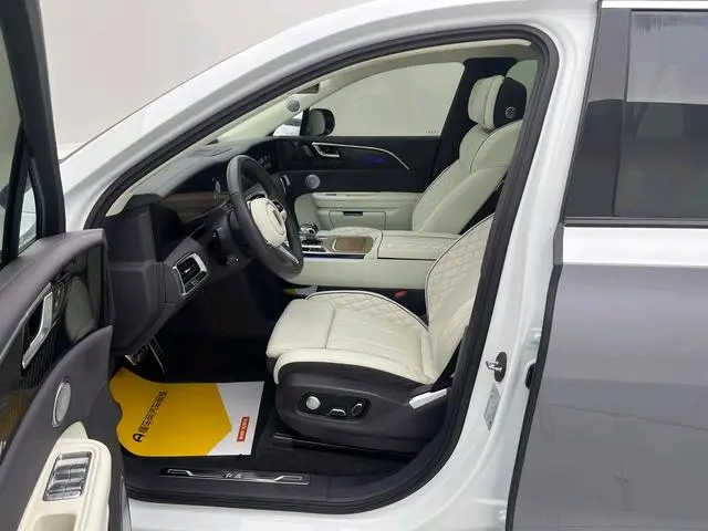 Hongqi Hongqi E-HS9 Facelift 660km flag collar version four-seater