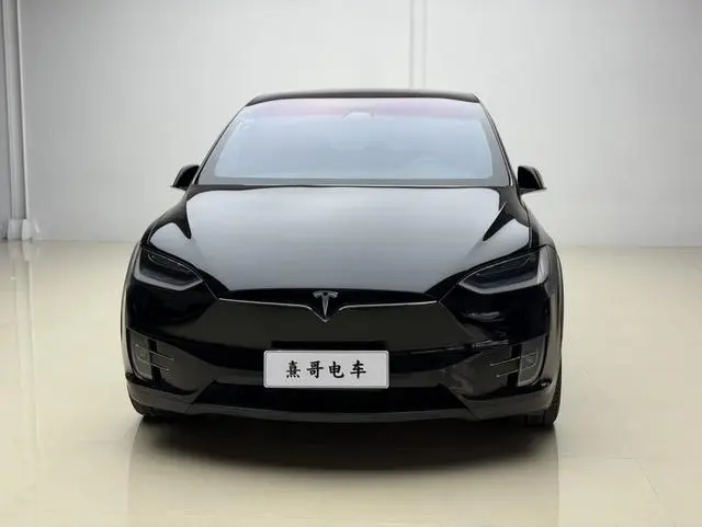 Tesla Model X 100D long battery life version
