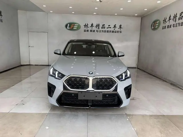 BMW BMW X2 (imported) sDrive25i M sports suit