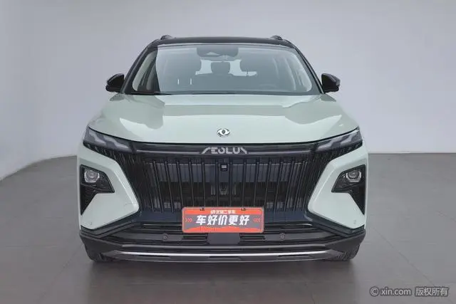 Dongfeng Fengshen Haoji Mach Power 1.5T Dare to Love Version