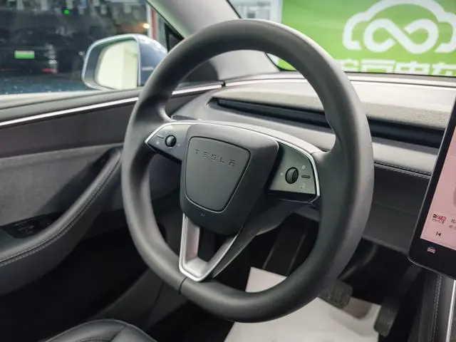 Tesla Model Y Rear-wheel drive version