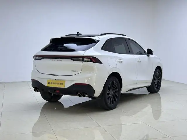 Dongfeng Fengxing Popular T5 EVO 1.5TD DCT Xingyao Edition