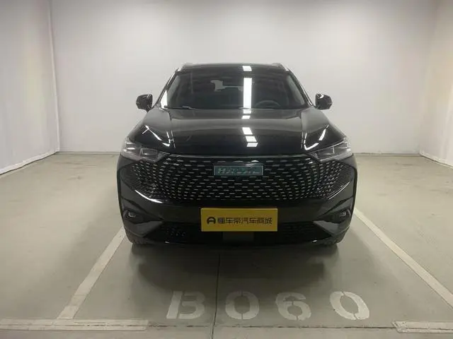 Haval Haval H6 PHEV 1.5T DHT-PHEV 110km smooth version