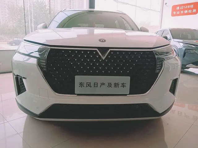 Venucia Qichenxing 260T Star Enjoy Event Edition Pro