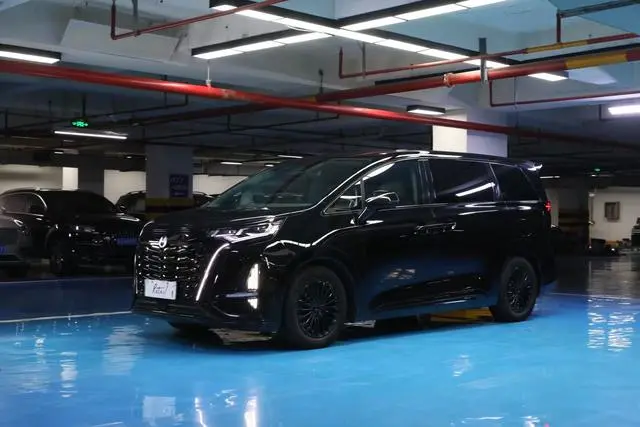 Denza Denza D9 DM 1040 Premium type