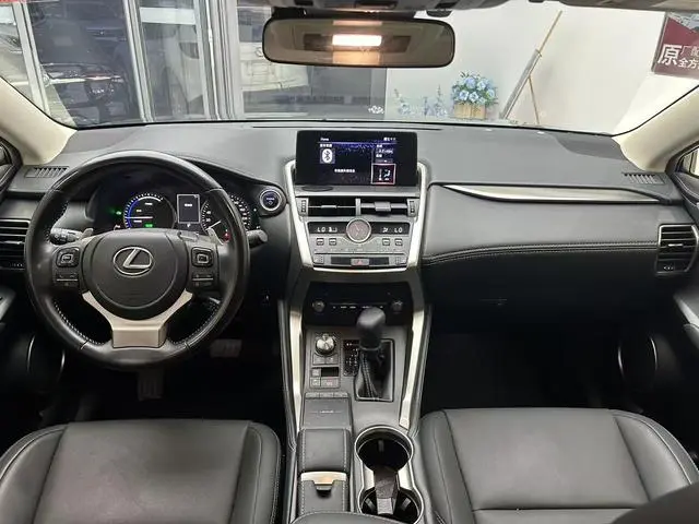 Lexus Lexus NX 300h front drive Fengshang version Country V