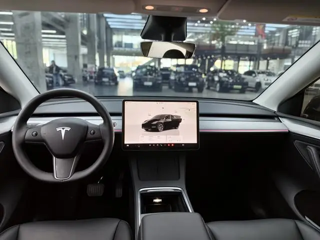 Tesla Model Y Rear-wheel drive version