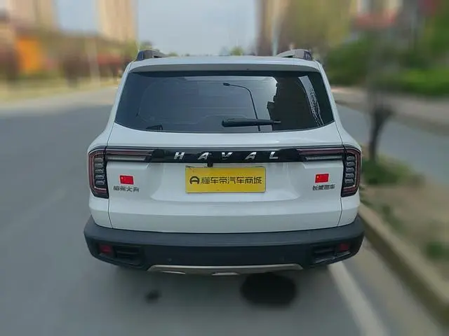 Haval Haval Big Dog 1.5T two-wheel drive horse and dog version
