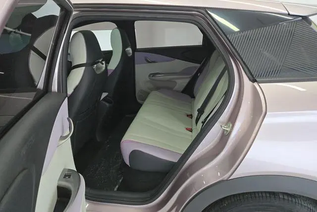 BYD dolphin Fashion edition