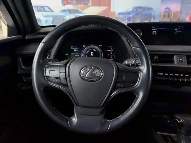 Lexus Lexus UX 260h Exploration*Cool Edition Country VI