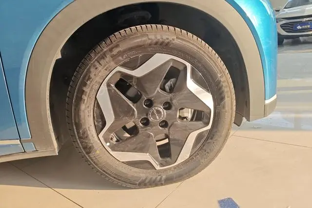 BYD dolphin Fashion edition