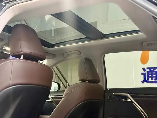 Lexus Lexus RX 300 four-wheel drive Special Edition