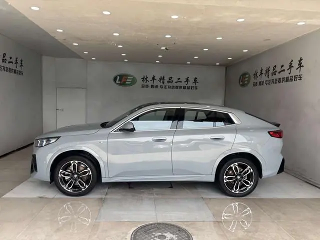 BMW BMW X2 (imported) sDrive25i M sports suit