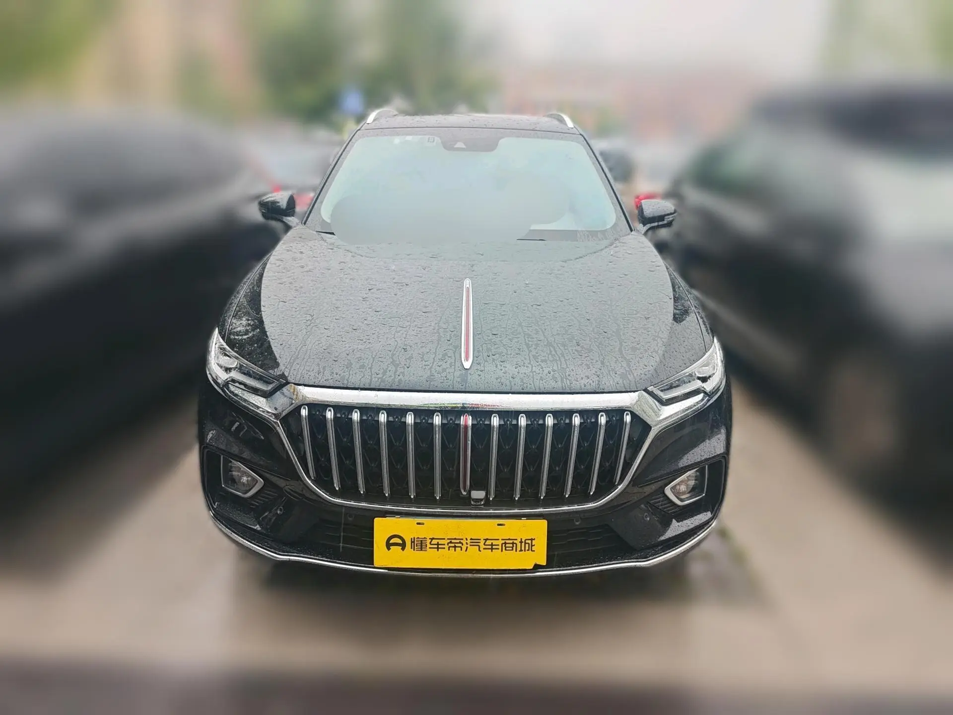 Hongqi Hongqi HS5 Facelift 2.0T Zhilian Flag Enjoy Edition
