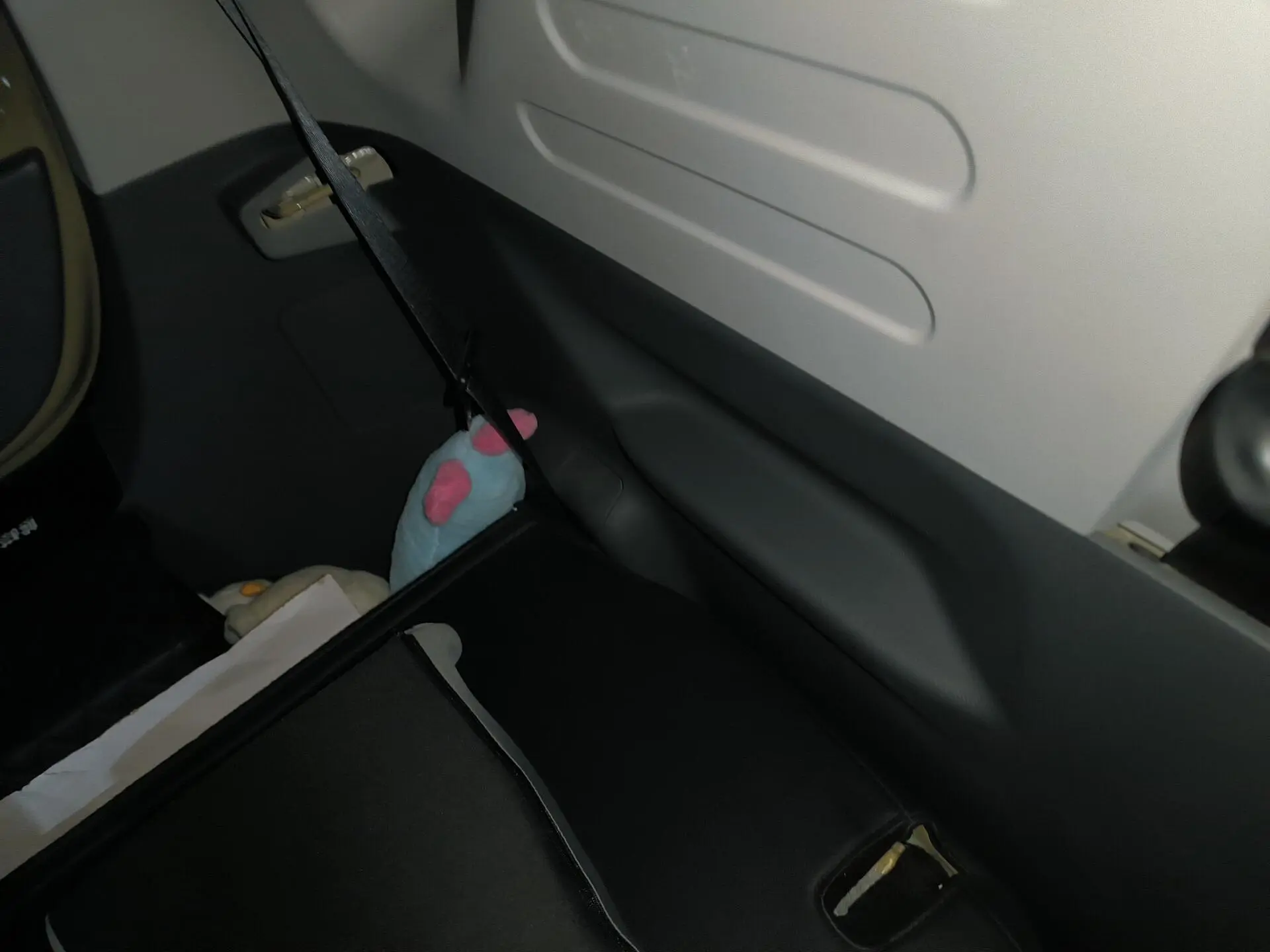 Geely Galaxy panda 200km Panda Knight