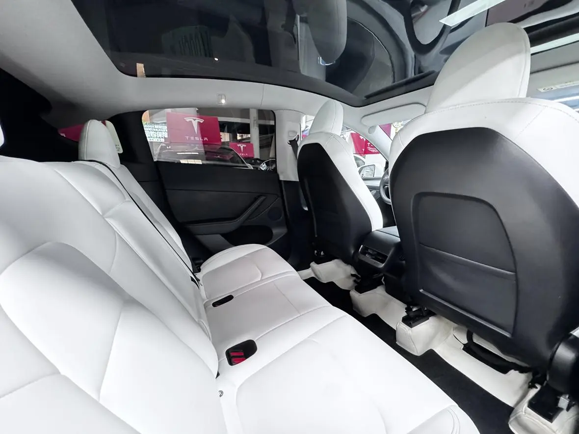 Tesla Model Y Long battery life all-wheel drive version