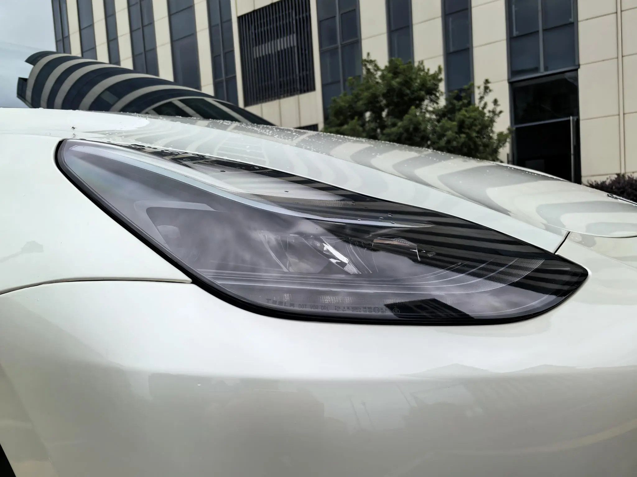 Tesla Model Y Rear-wheel drive version