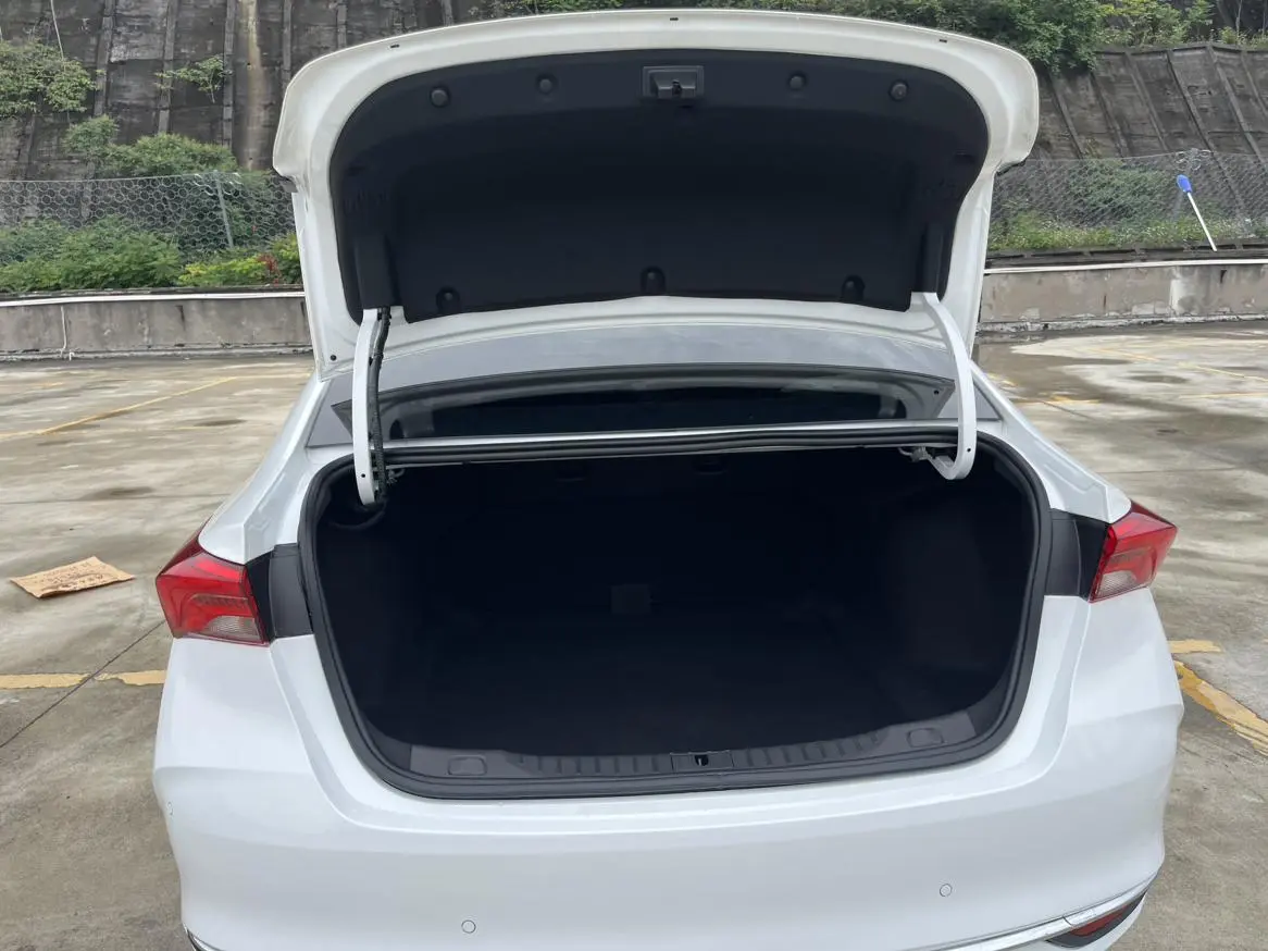 Buick Weilang Pro 533T Fun Edition