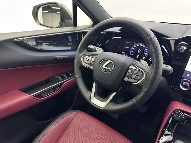 Lexus Lexus NX 260 Front Drive 10th Anniversary Special Limited Edition
