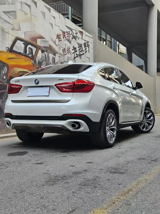 BMW BMW X6 xDrive35i leading type