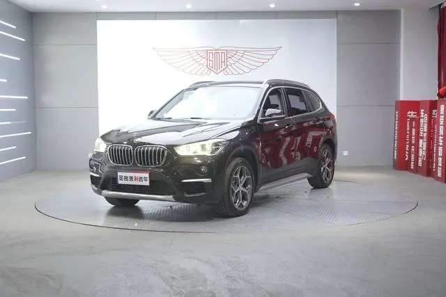 BMW BMW X1 xDrive20Li Exclusive type