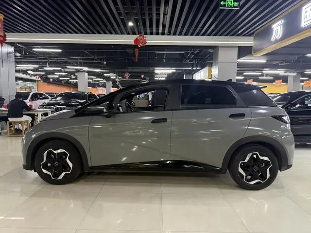 BYD dolphin Fashion edition