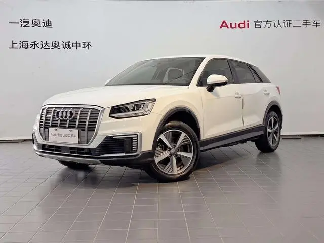 Audi Audi Q2L e-tron Pure electric smart cool type