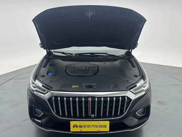 Hongqi Hongqi HS5 Facelift 2.0T Zhilian flag enjoy four-wheel drive version