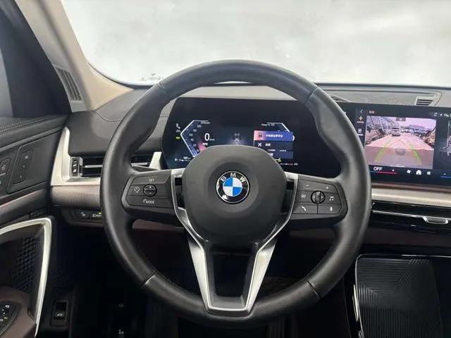 BMW BMW X2 (imported) sDrive25i M sports suit