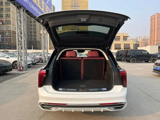 Hongqi Hongqi E-HS9 660km Qichang version six seats
