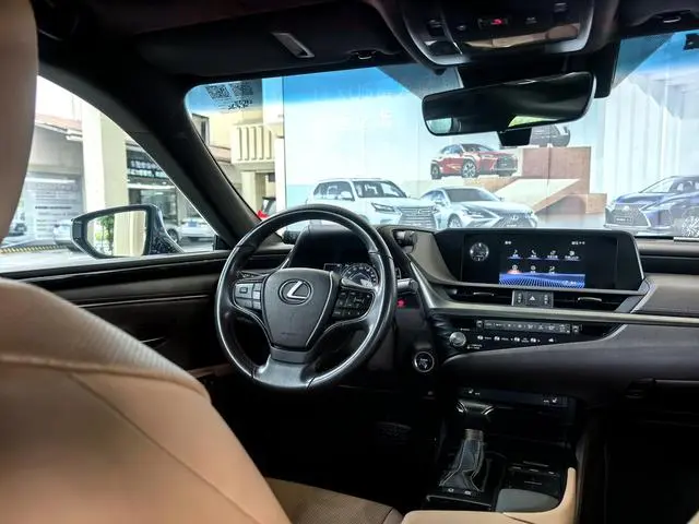Lexus Lexus ES 300h Excellent Edition Country VI