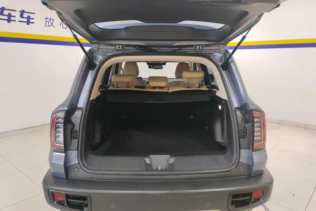 Haval Haval Big Dog 1.5T two-wheel drive horse dog-Wangcai Edition
