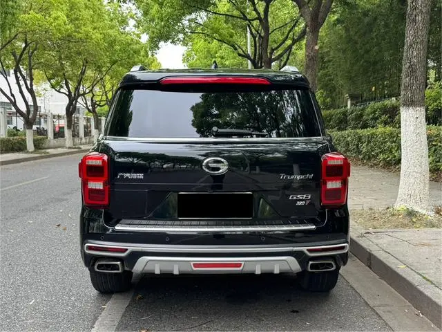 GAC Trumpchi GS8 320T two-wheel drive luxury Zhilian Edition 7 seats