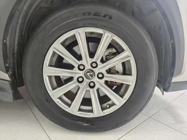 Lexus Lexus NX 300h front drive Fengshang version Country V