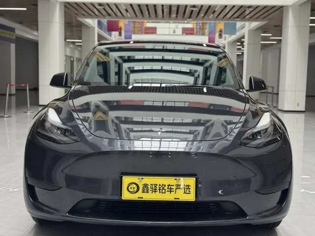 Tesla Model Y Rear-wheel drive version