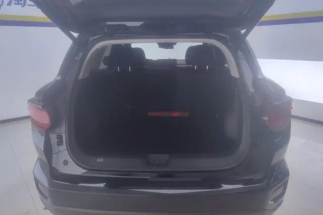 Haval Haval Big Dog PLUS 2.0T two-wheel drive Tide Wild edition Plus