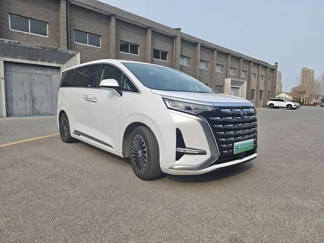 Denza Denza D9 DM 980 four-wheel drive honor type