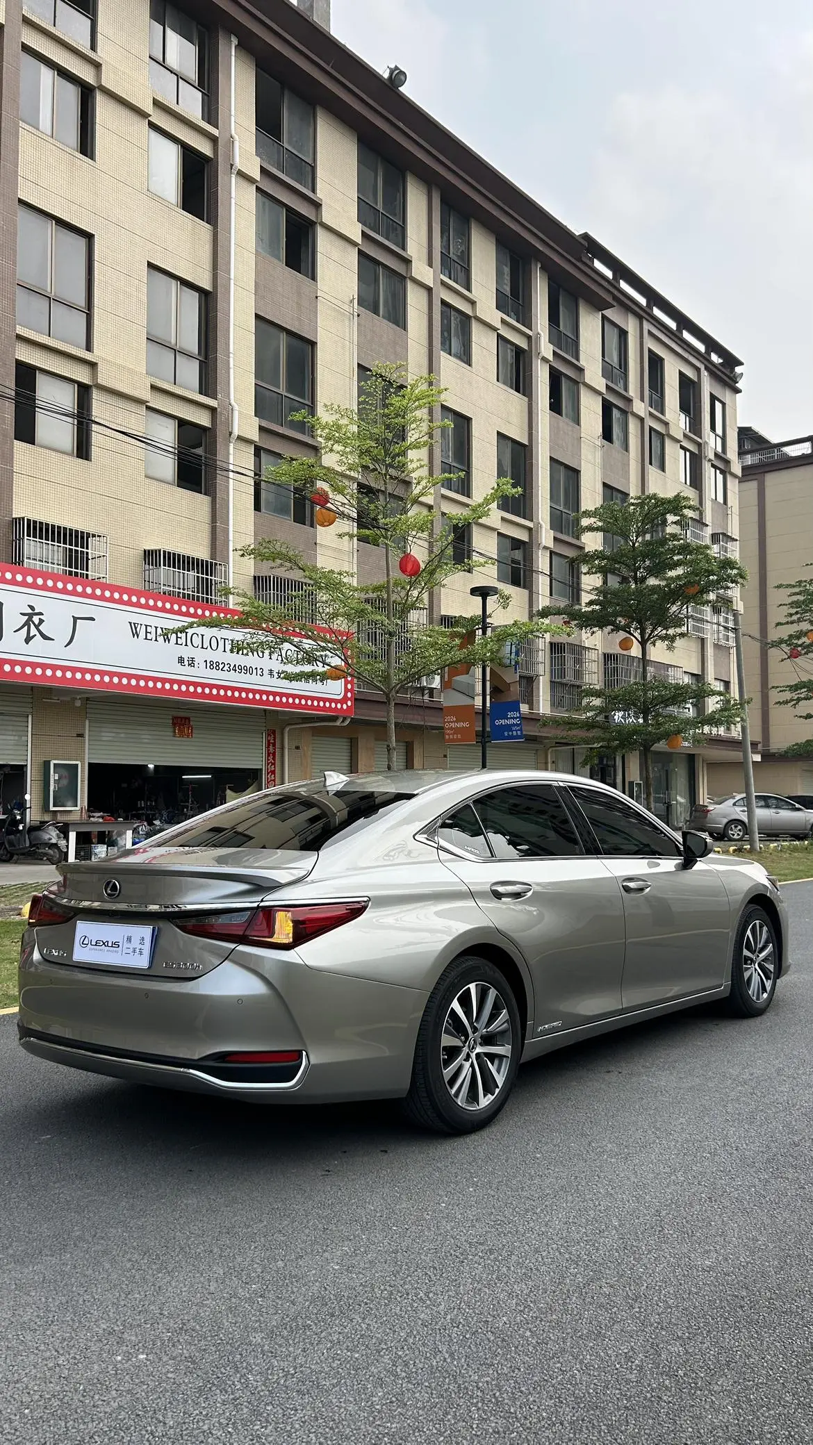 Lexus Lexus ES 300h Excellent Edition