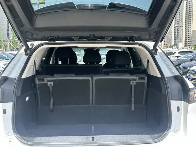 Chery Fulwin Tiggo 9 2.0T AT two-wheel drive Premium Edition 7 seats
