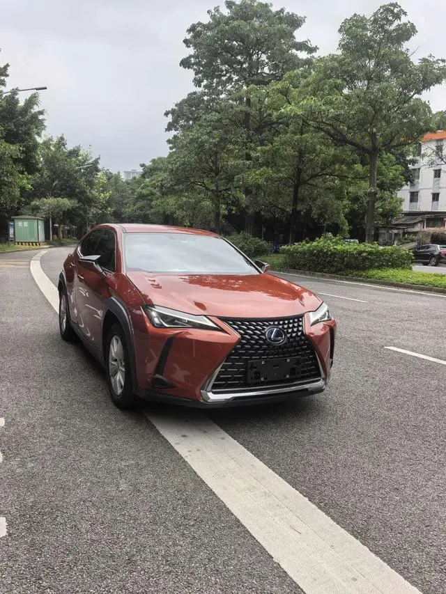 Lexus Lexus UX 260h Exploration*Cool Edition Country VI
