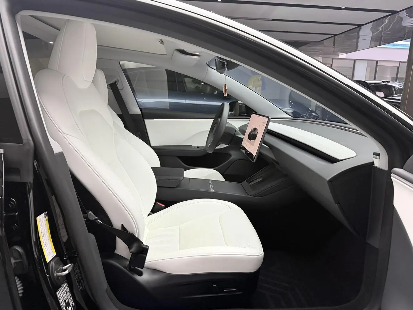 Tesla Model 3 Rear-wheel drive version