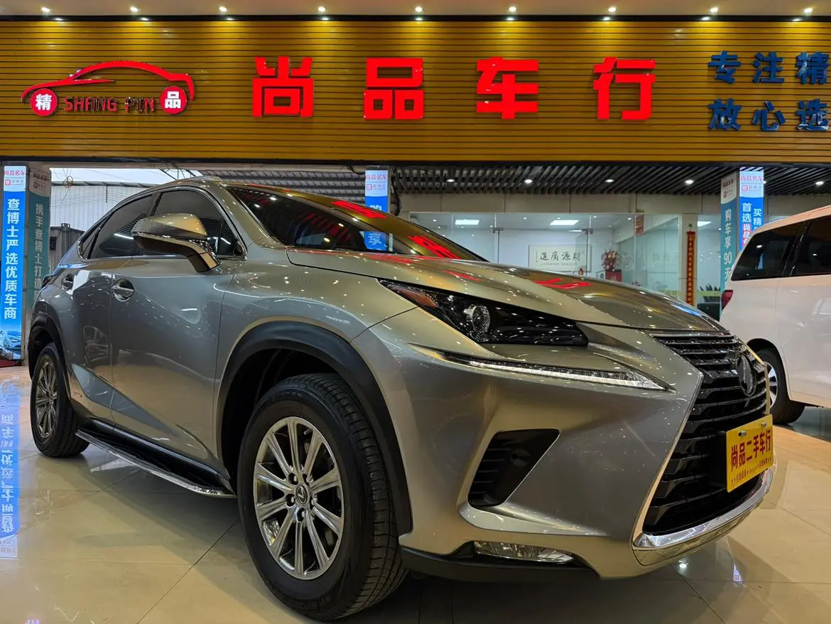 Lexus Lexus NX 300h front drive Fengshang version Country VI