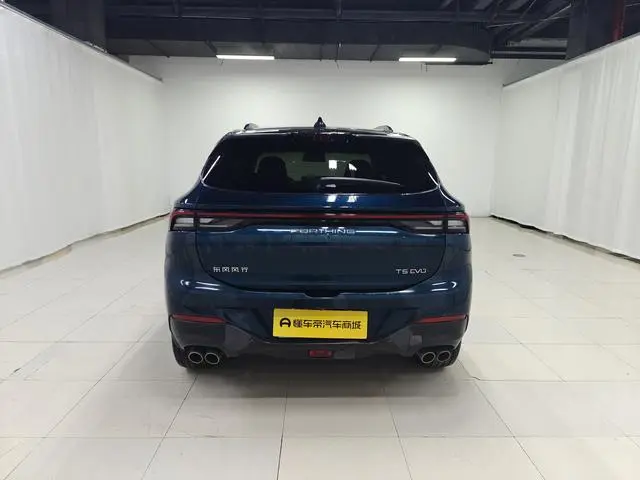 Dongfeng Fengxing Popular T5 EVO 1.5TD DCT Diamond Edition